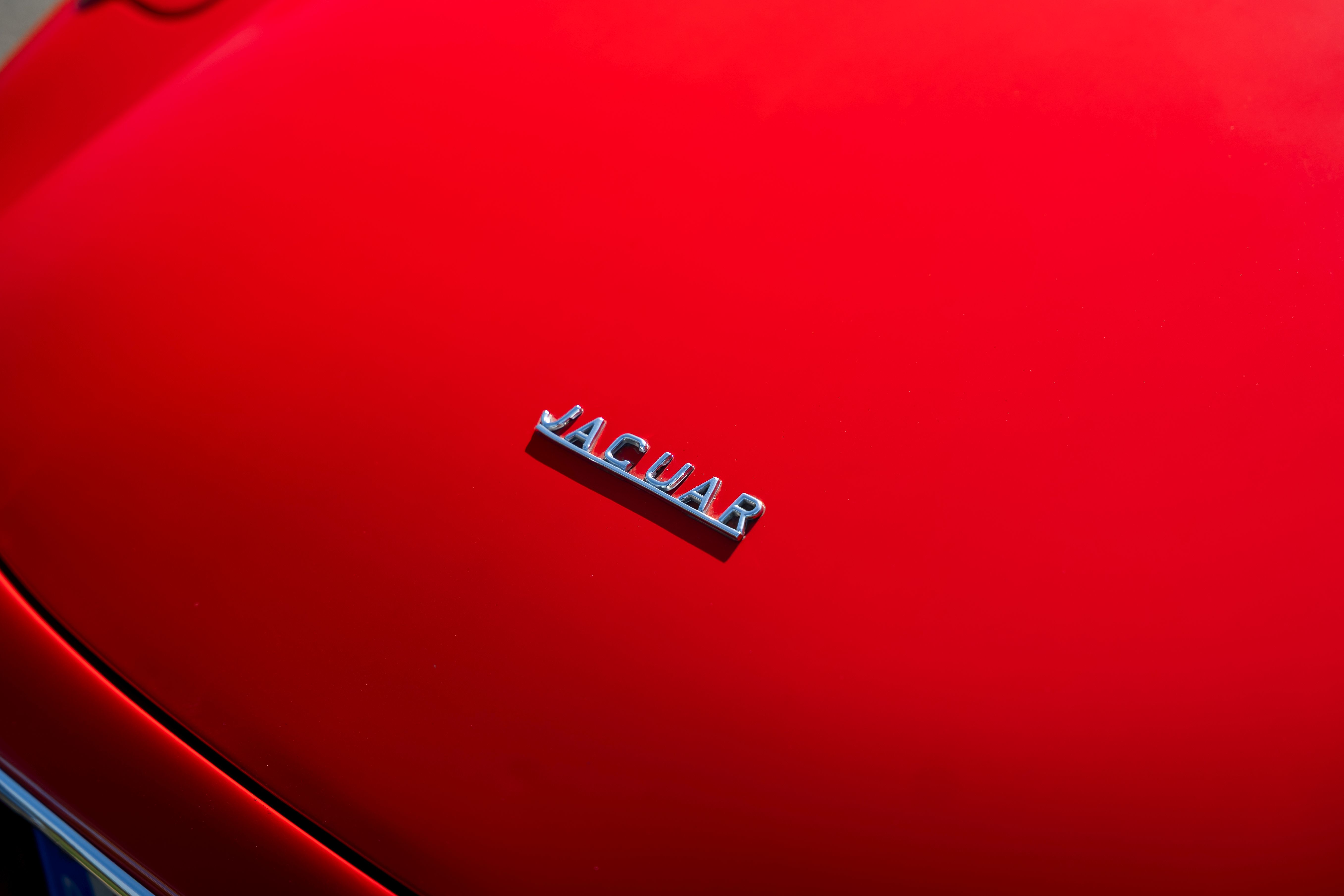 Loaded image